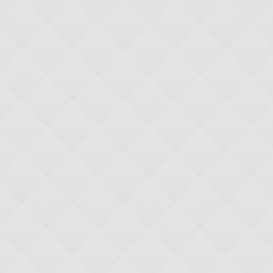 Écran géant + Vidéo Projecteur